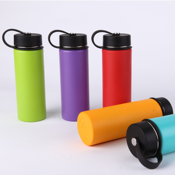 Stainless Steel Water Bottle SDO-BB60