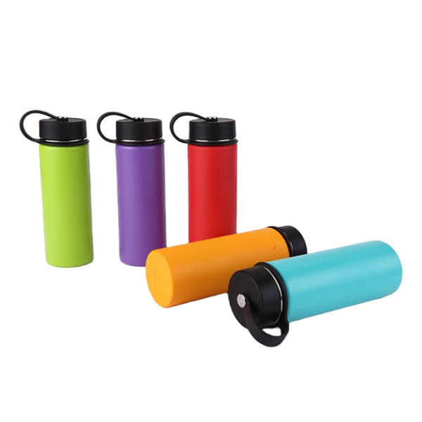 Stainless Steel Water Bottle SDO-BB70