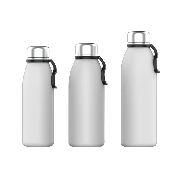 Stainless Steel Water Bottle NT001-25