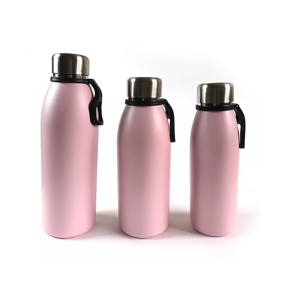 Stainless Steel Water Bottle NT001-25