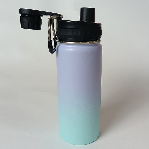 Stainless Steel Water Bottle SDO-BS70