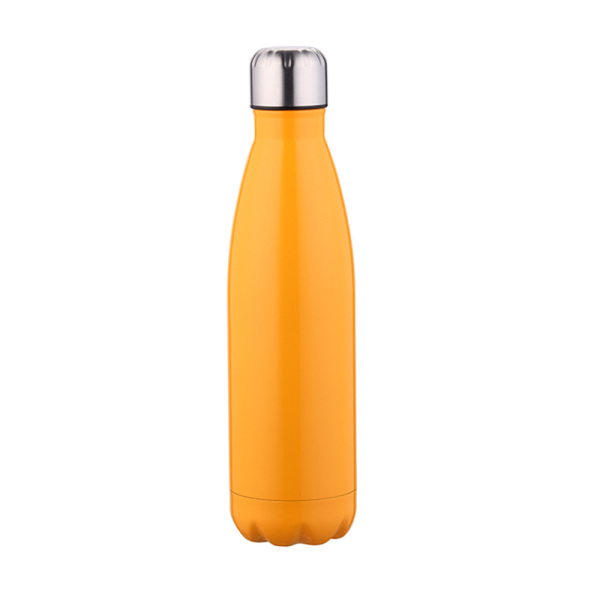 Stainless Steel Water Bottle SDO-BD75