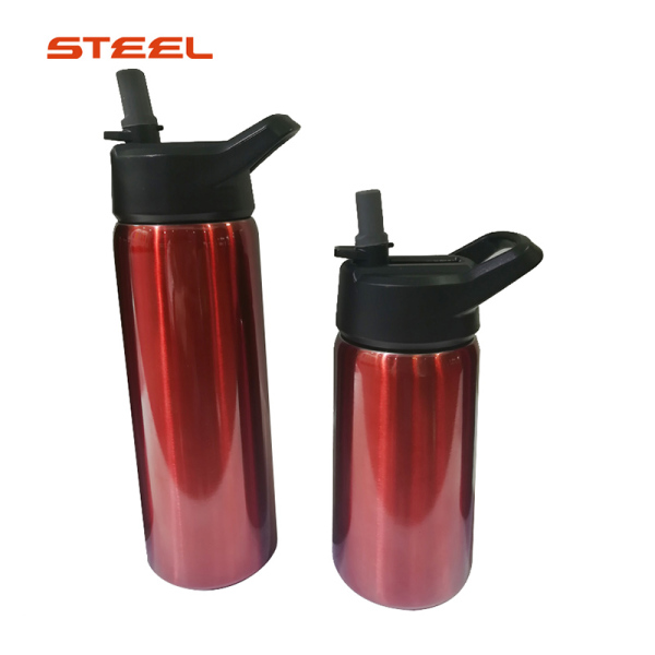 Stainless Steel Water Bottle SDO-BH40