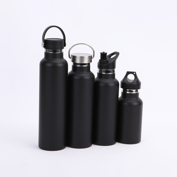 Stainless Steel Water Bottle SDO-BQ20