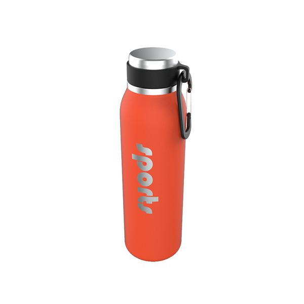 Stainless Steel Water Bottle NT003-32