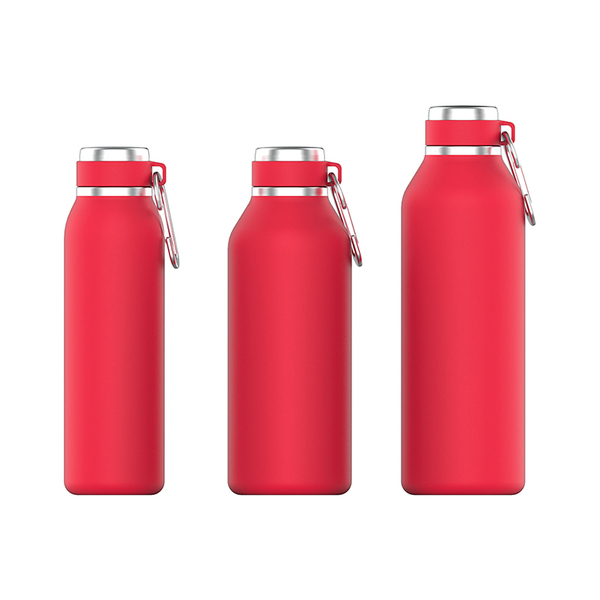 Stainless Steel Water Bottle NT003-37