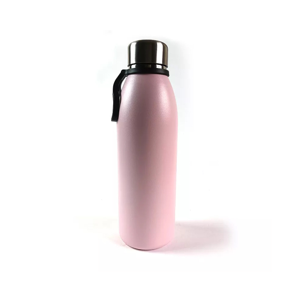 Stainless Steel Water Bottle NT001-25