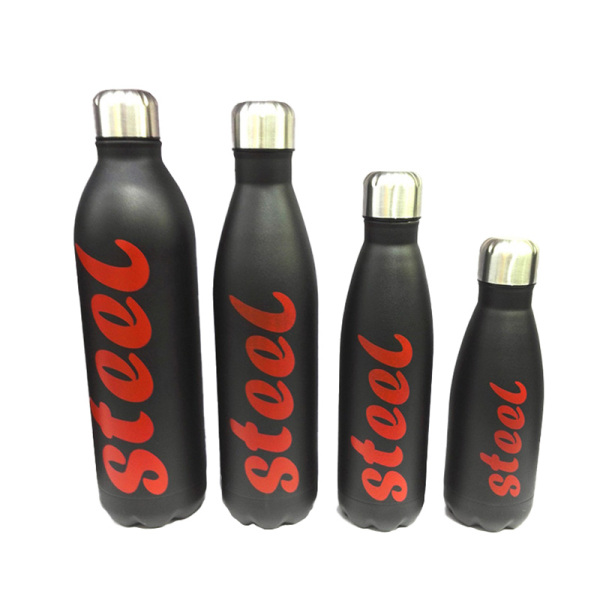 Stainless Steel Water Bottle SDO-BD75