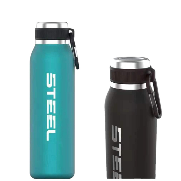 Stainless Steel Water Bottle NT003-20