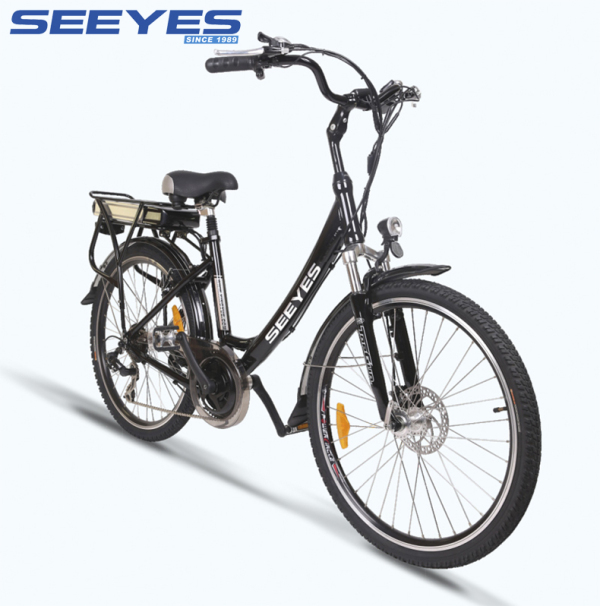 E-bike XYTDE007L