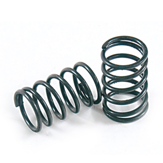 Valve Springs Valve Springs