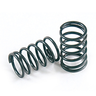 Valve Springs Valve Springs