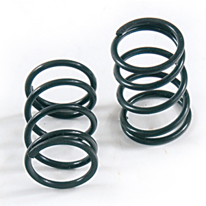 Valve Springs Valve Springs