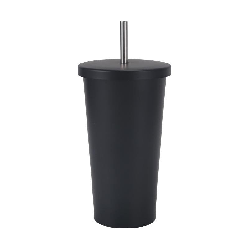 Vacuum CupZY-T550