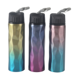 Single Wall BottleZY-S650