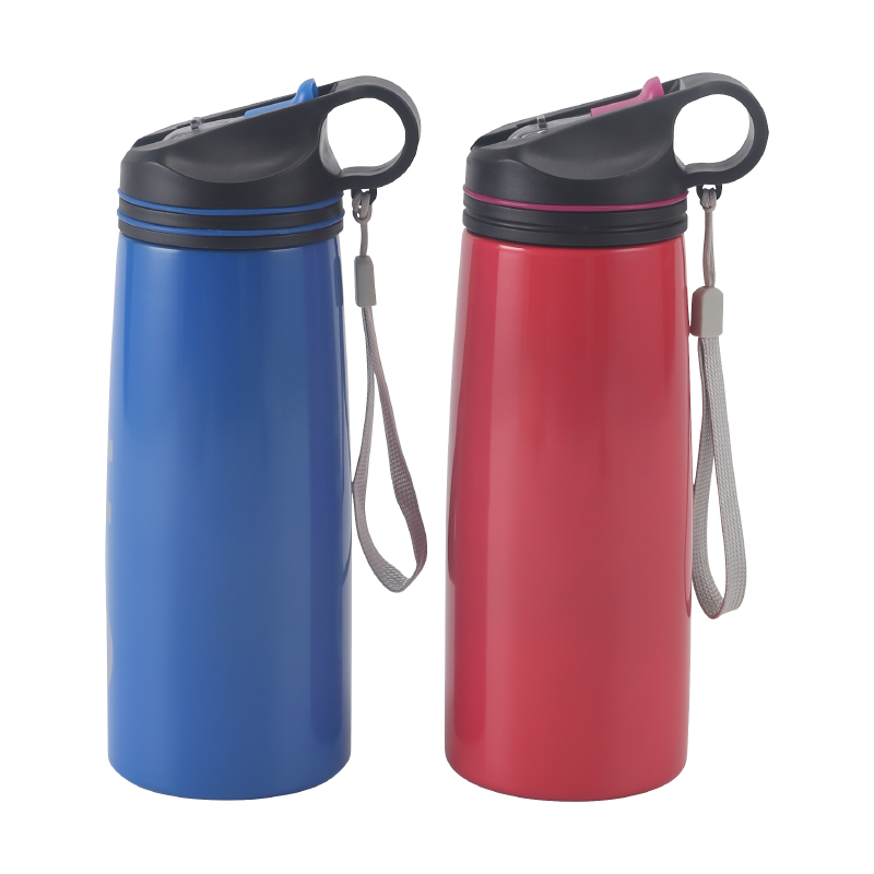 Single Wall BottleZY-S900