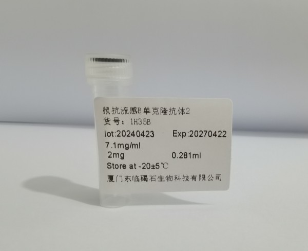 鼠抗流感B单克隆抗体2 1H35B