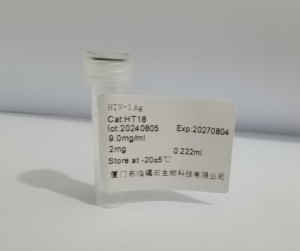 HIV-1 Ag HT18
