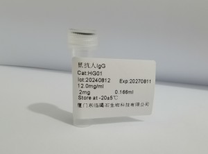 鼠抗人IgG HG01