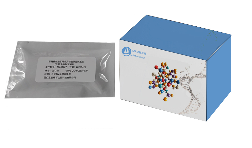 单靶标核酸扩增产物试纸条（生物素-FAM/FITC） DF001