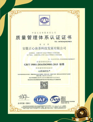 质量管理体系认证证书