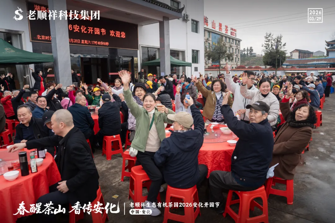 春醒茶山 香传安化|老顺祥生态有机茶园2026安化开园节温情落幕