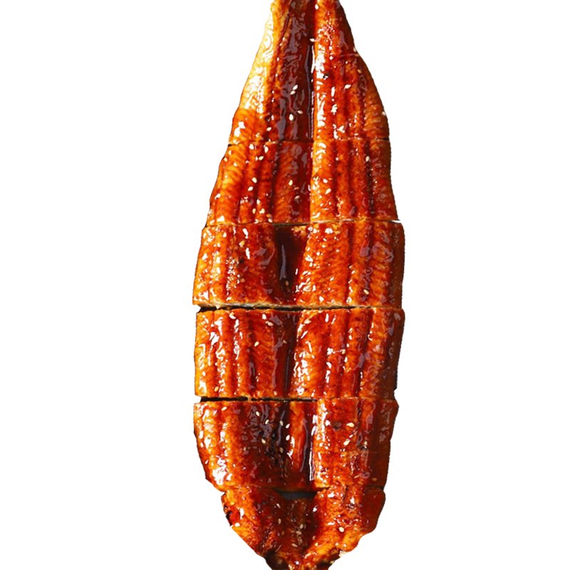 Roasted Eel