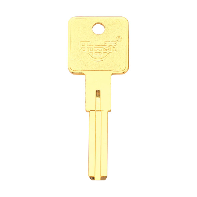Custom key 7025