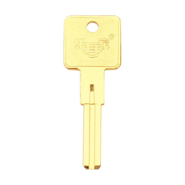 Custom key