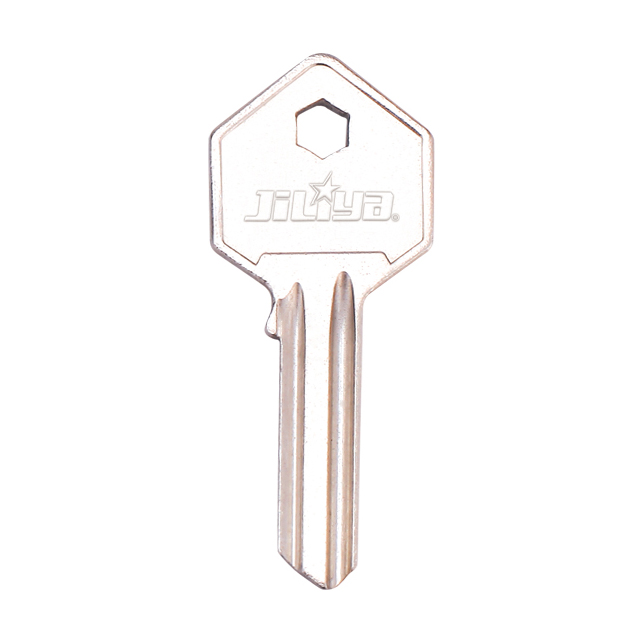 Door Key 120