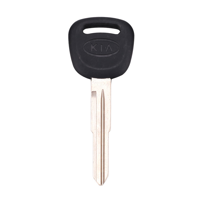 Car  Key 308