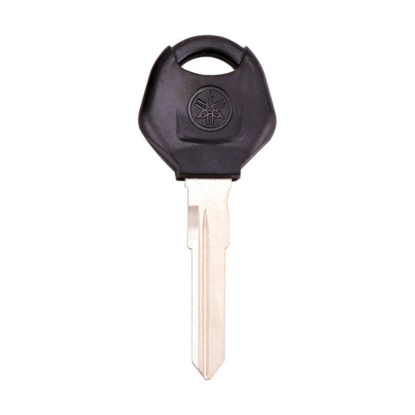 Car  Key 310