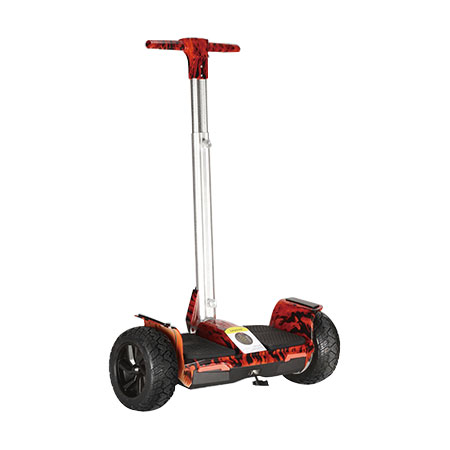 Electric Scooter W-Q5