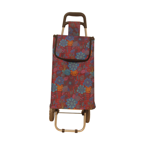 Normal style shopping trolley ELD-C301-17