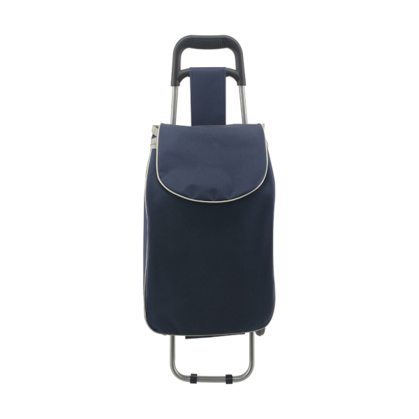 Normal style shopping trolley ELD-C301-1