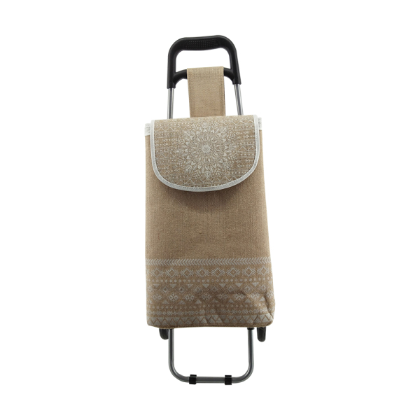 Normal style shopping trolley ELD-C304