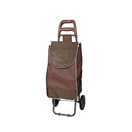 Normal style shopping trolley ELD-B201-10