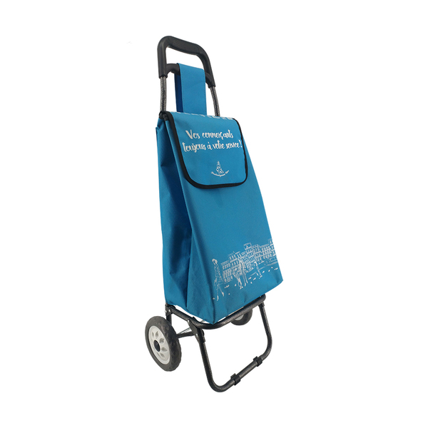 Normal style shopping trolley ELD-C301-3