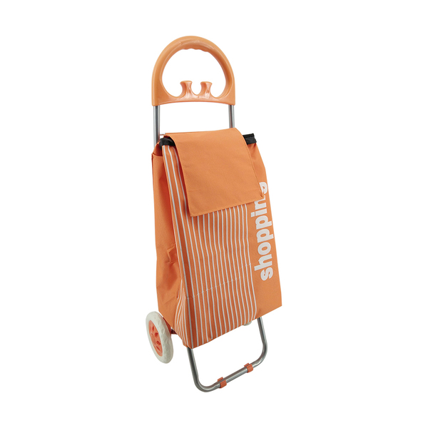 Normal style shopping trolley ELD-S201-2