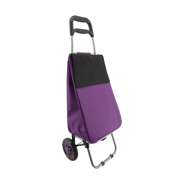 Normal style shopping trolley ELD-C204-1