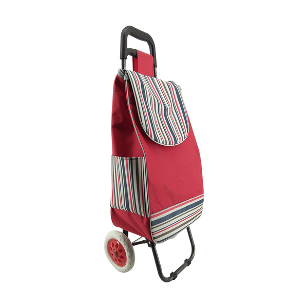 Normal style shopping trolley ELD-C301-4