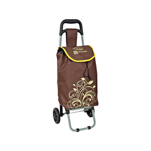 Promotional shopping trolley ELD-G101