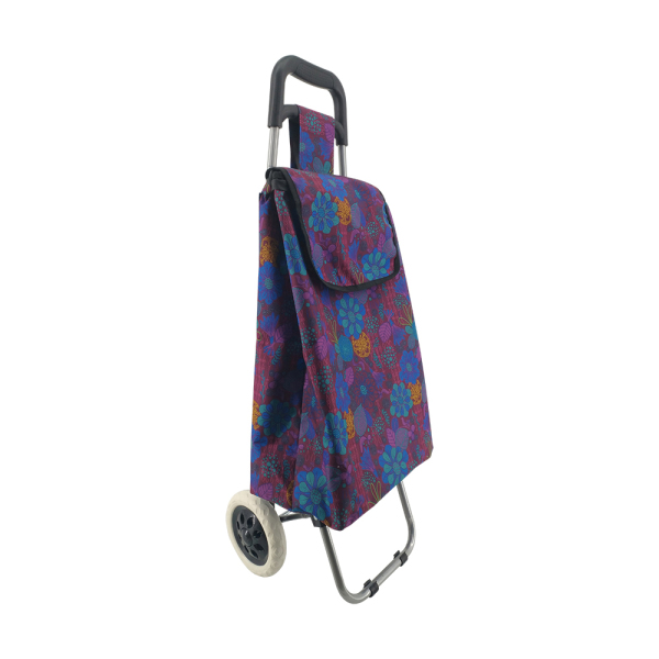 Normal style shopping trolley ELD-C301-2