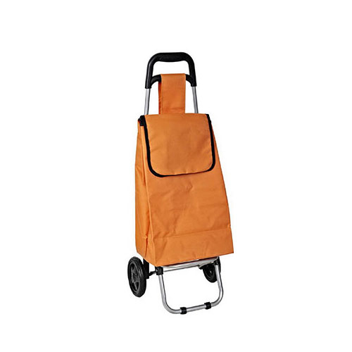 Normal Style Shopping Trolley ELD-C301-19