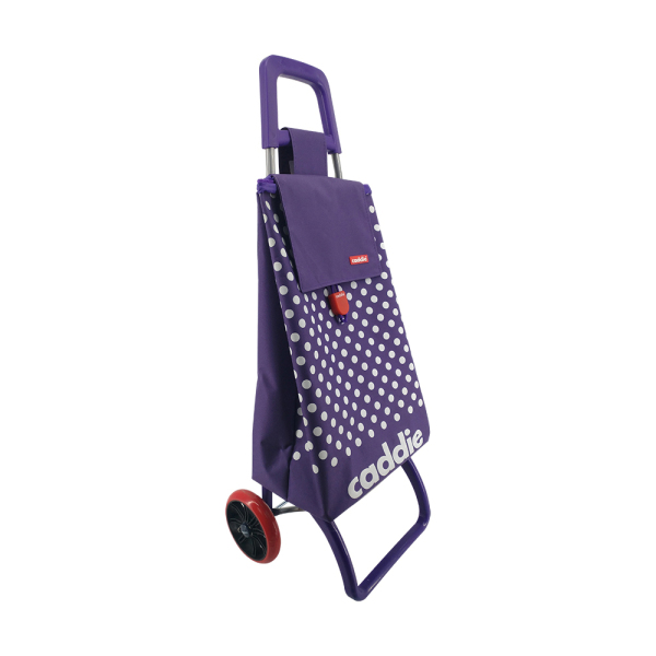 Normal style shopping trolley ELD-C304-5