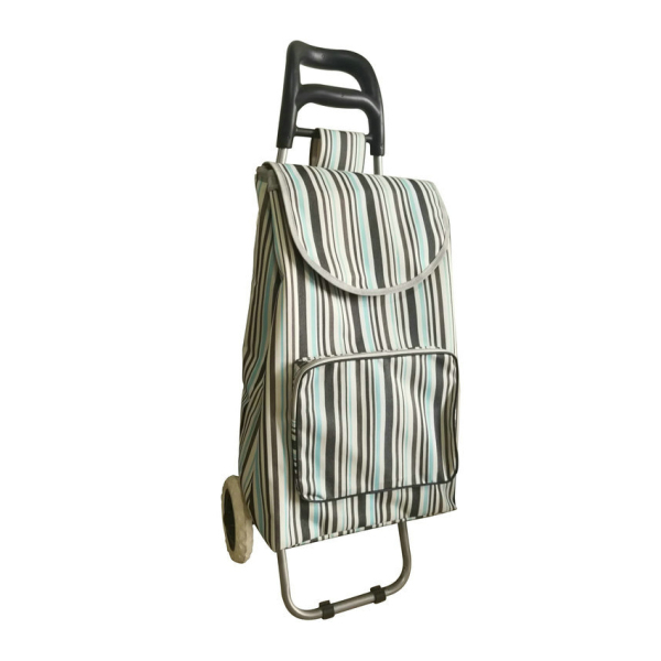 Normal style shopping trolley ELD-B201-3