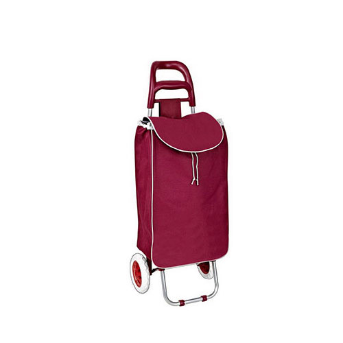 Normal style shopping trolley ELD-B201-13