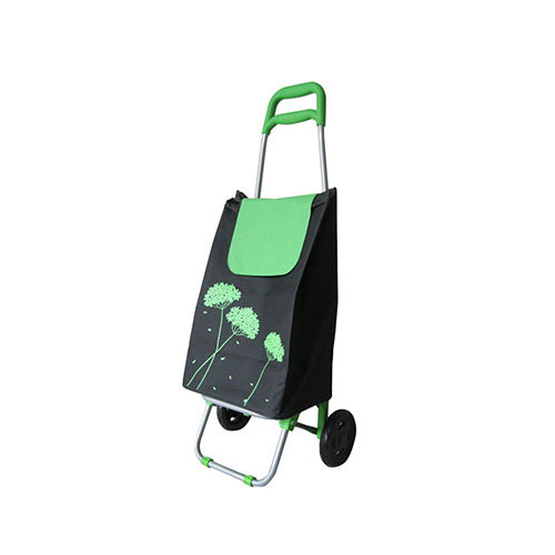 Normal style shopping trolley ELD-C204-2