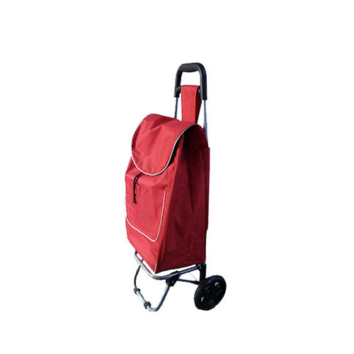 Normal style shopping trolley ELD-C301-26