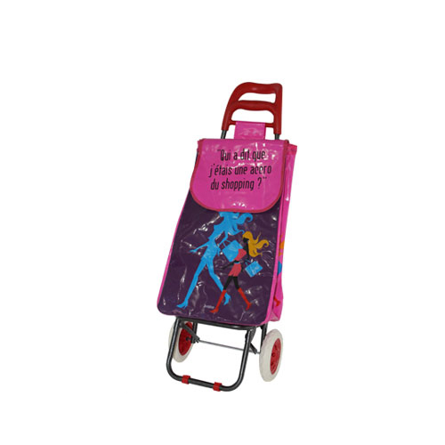 Normal style shopping trolley ELD-B201-27